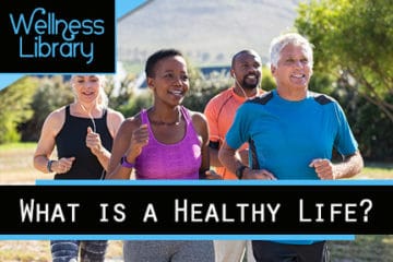 What is a Healthy Life?