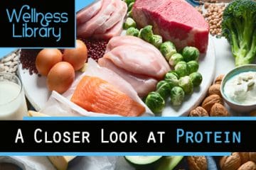 A Closer Look at Protein