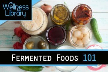 Fermented Foods 101