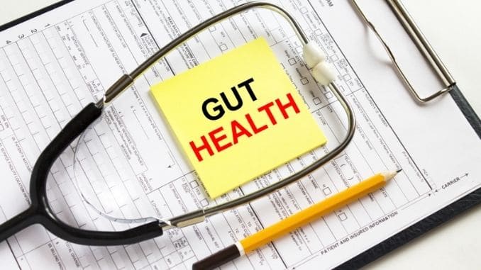 Text Gut Health